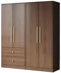 خزائن فى هولندا