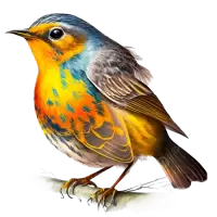 طيور و عصافير للبيع في هولندا : أفضل الأسعار