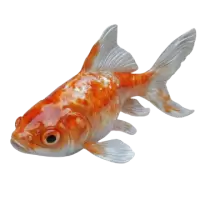 اسماك زينة وأحياء مائية للبيع في هولندا