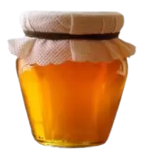 عسل فى هولندا