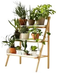 مشتل نباتات فى هولندا