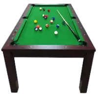 بلياردو و سنوكر فى هولندا