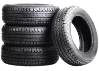 كوشوك فى هولندا