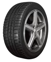 جنط مع كوشوك فى هولندا