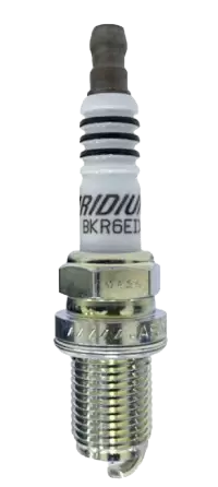 بواجي - مساحات - حمالات فى هولندا