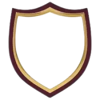 شعارات وهويات بصرية فى هولندا