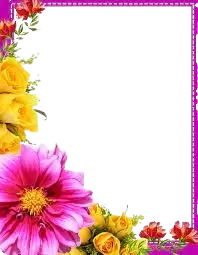 دعوات وتهنئة ومعايدات فى هولندا