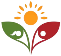 مهارات حياتية وترفيه فى هولندا