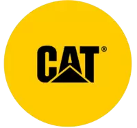 كات فى هولندا