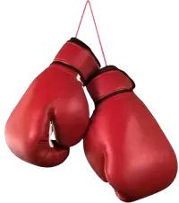 تجهيزات أخرى فى هولندا