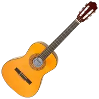 جيتار - عود للبيع في هولندا