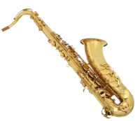 آلات نفخ موسيقية للبيع في هولندا